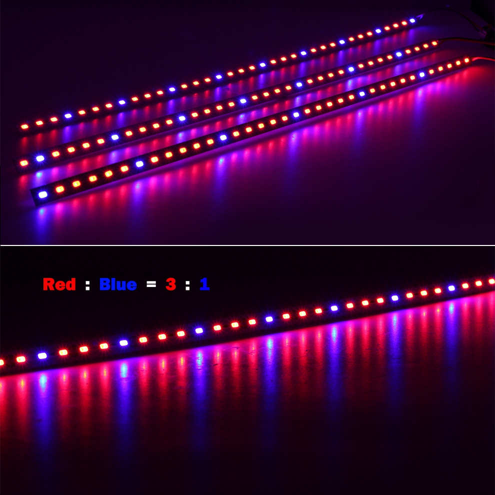 10PCS-50CM-SMD5630-RedBlue-31-41-51-LED-Grow-Rigid-Bar-Strip-for-Hydroponics-Greenhouse-DC12V-1242353