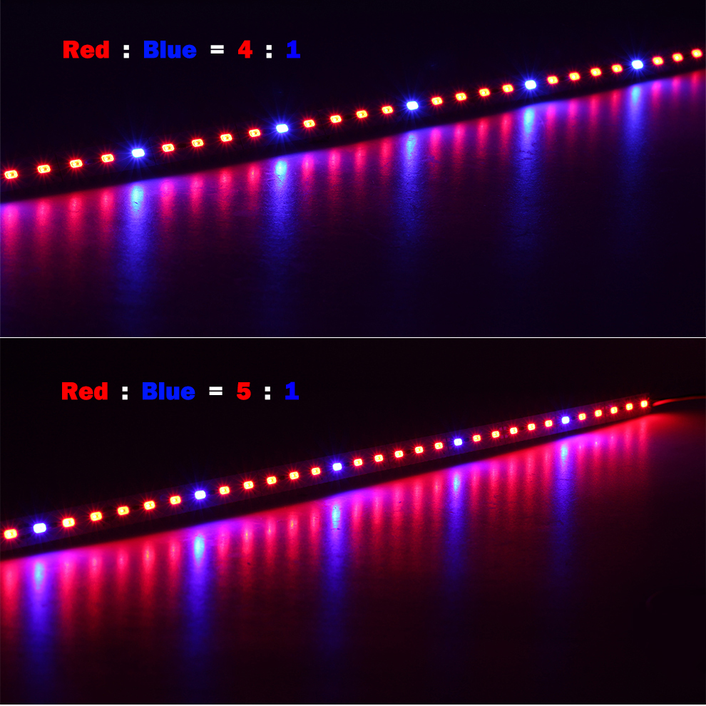 10PCS-50CM-SMD5630-RedBlue-31-41-51-LED-Grow-Rigid-Bar-Strip-for-Hydroponics-Greenhouse-DC12V-1242353