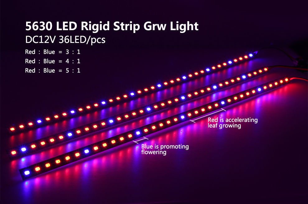 10PCS-50CM-SMD5630-RedBlue-31-41-51-LED-Grow-Rigid-Bar-Strip-for-Hydroponics-Greenhouse-DC12V-1242353