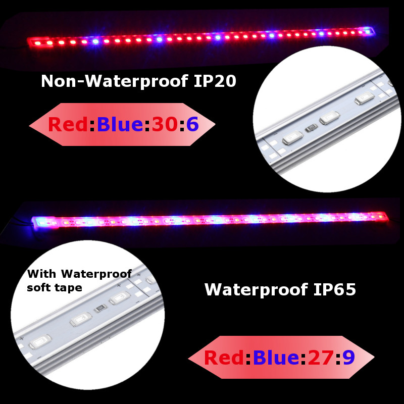 10PCS-50CM-SMD5730-RedBlue-31-LED-Plant-Grow-Rigid-Strip-Hydroponic-Light-Kit-DC12V-1261699