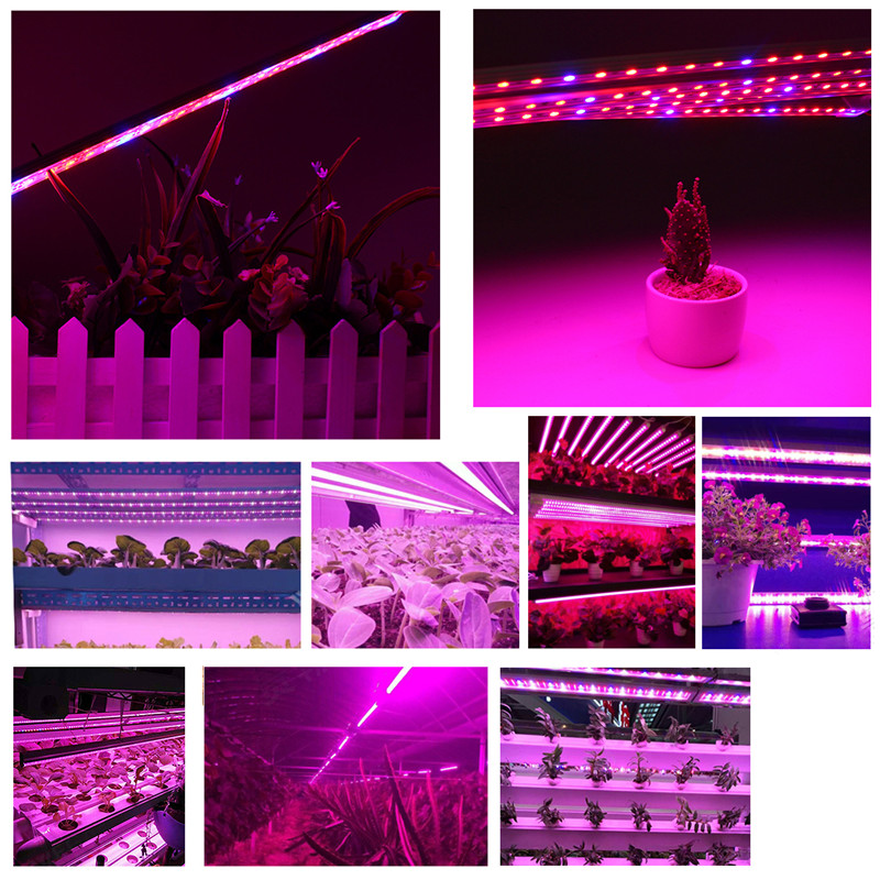 5PCS-50CM-SMD5050-RedBlue-51-Grow-Plant-LED-Strip-Light-with-Connector-for-Greenhouse-DC12V-1285483