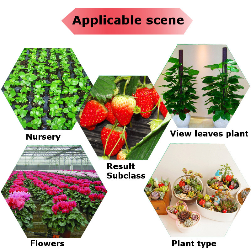 5PCS-50CM-SMD5050-RedBlue-51-Grow-Plant-LED-Strip-Light-with-Connector-for-Greenhouse-DC12V-1285483