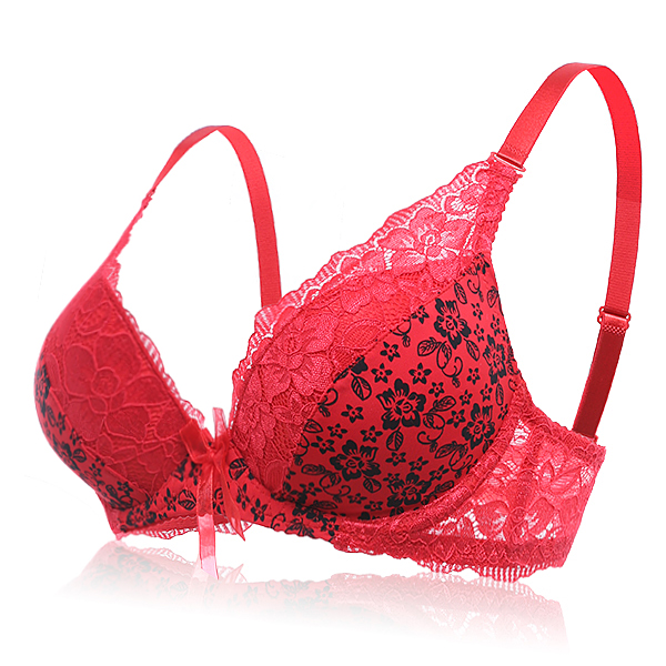 Lace-Underwire-Floral-Printing-Adjusted-Bra-Set-Lingerie-1238559