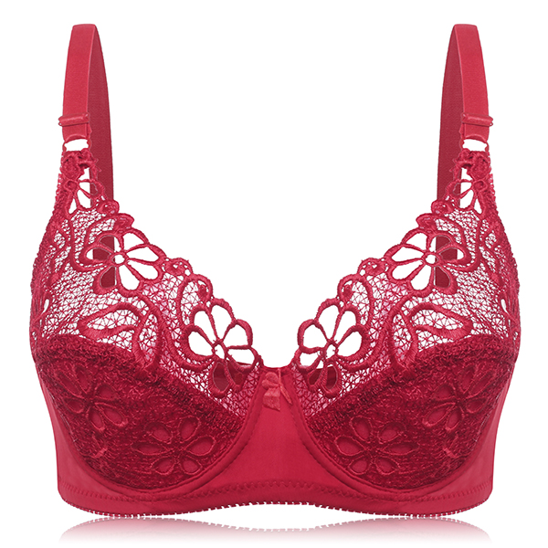Push-Up-Sexy-Lace-Embroidery-Underwire-Adjusted-Thin-Bra-1247374