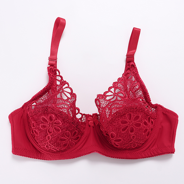 Push-Up-Sexy-Lace-Embroidery-Underwire-Adjusted-Thin-Bra-1247374