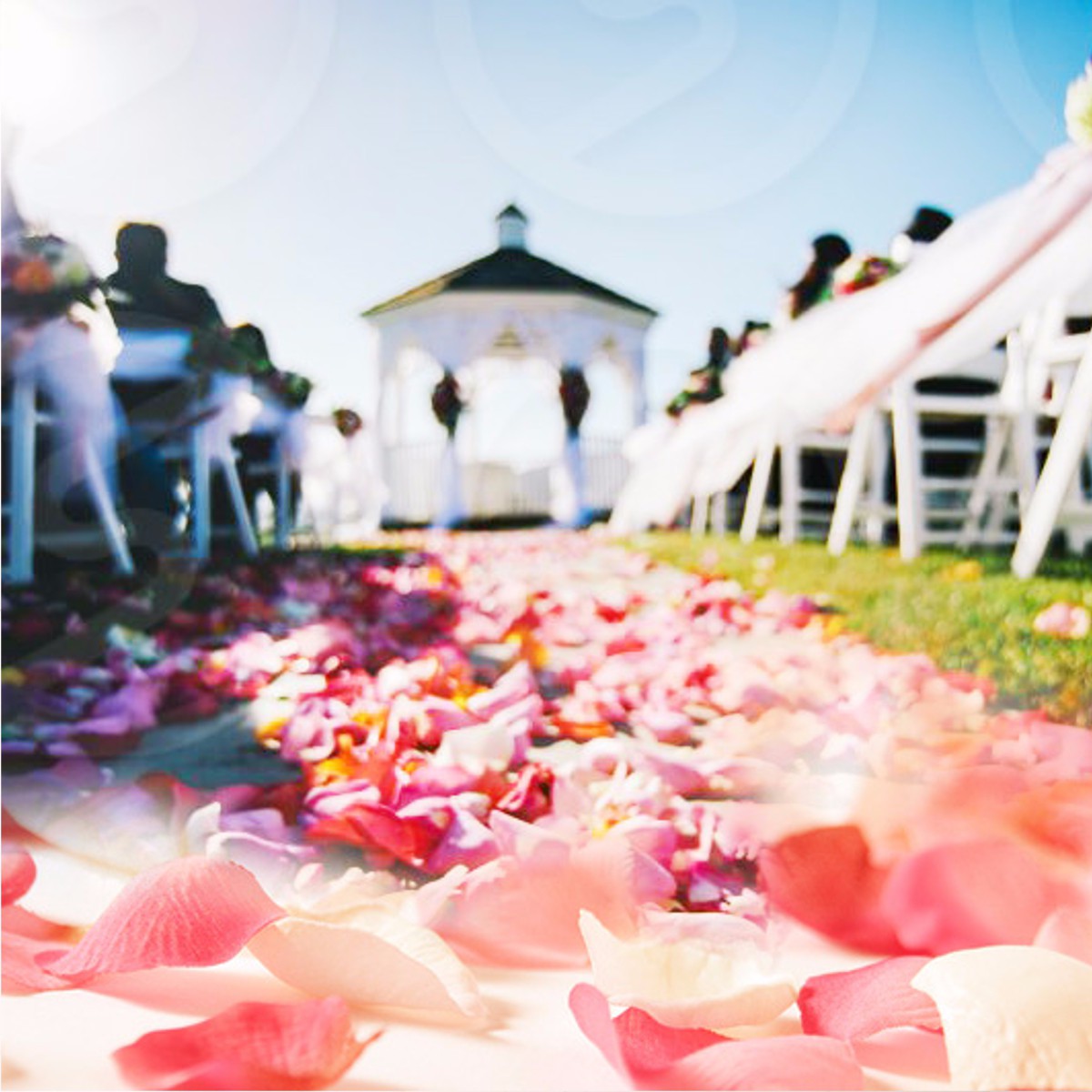 1000Pcs-Silk-Rose-Celebration-Artificial-Petals-Flower-Confetti-Engagement-Wedding-Decoration-1032674